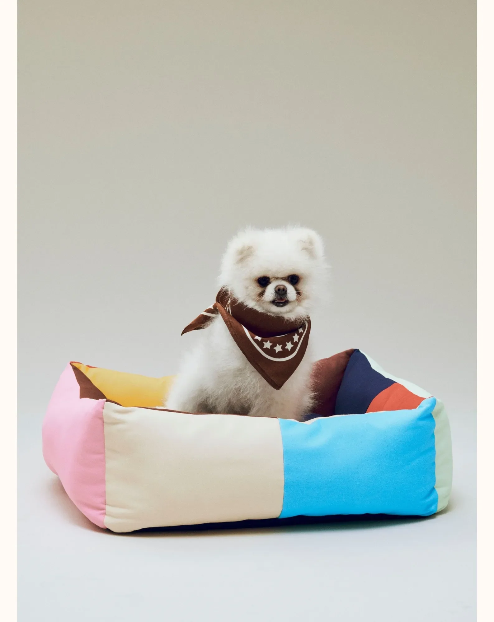 Bandana pour chien - Image 3