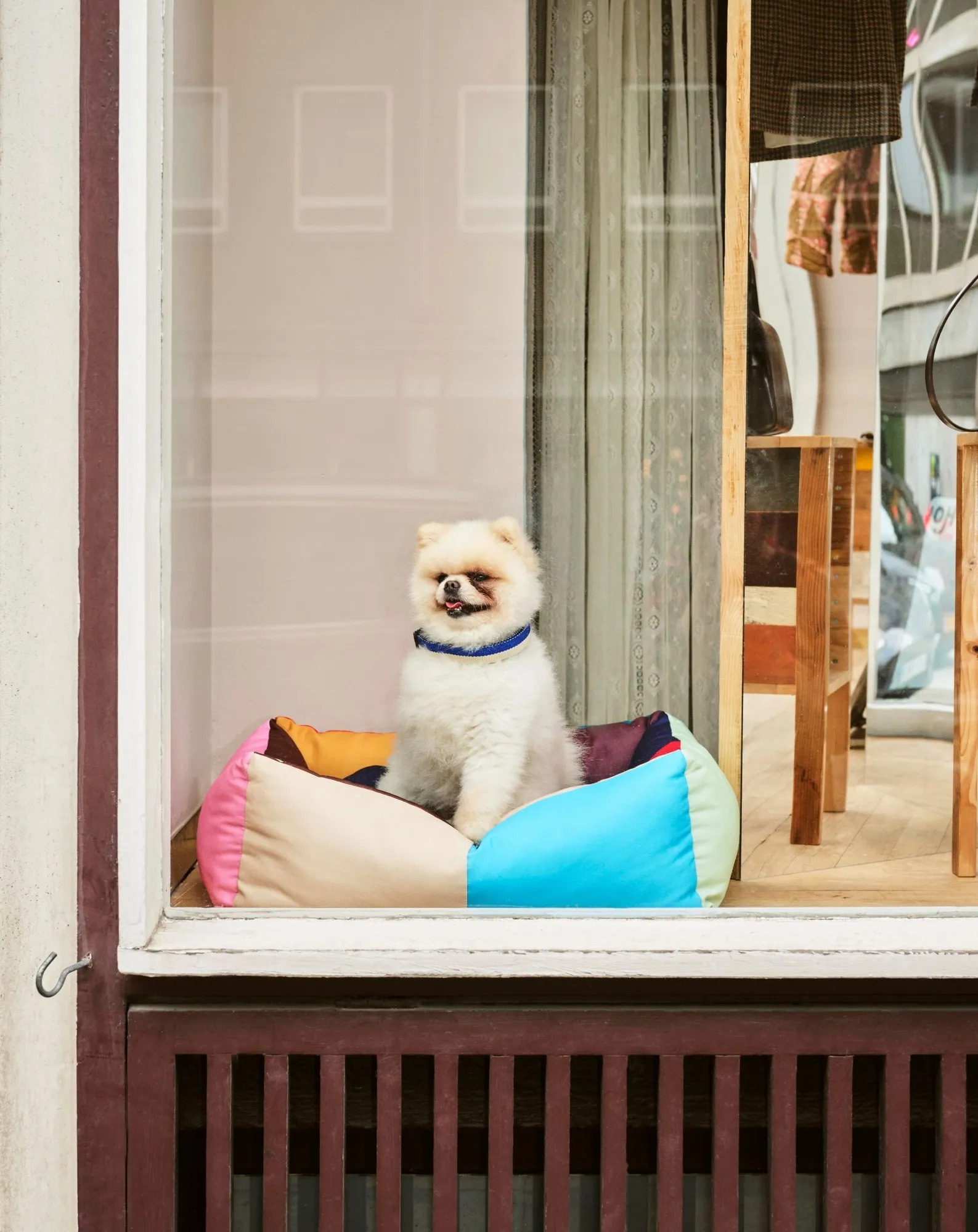 Panier pour chien - Image 3