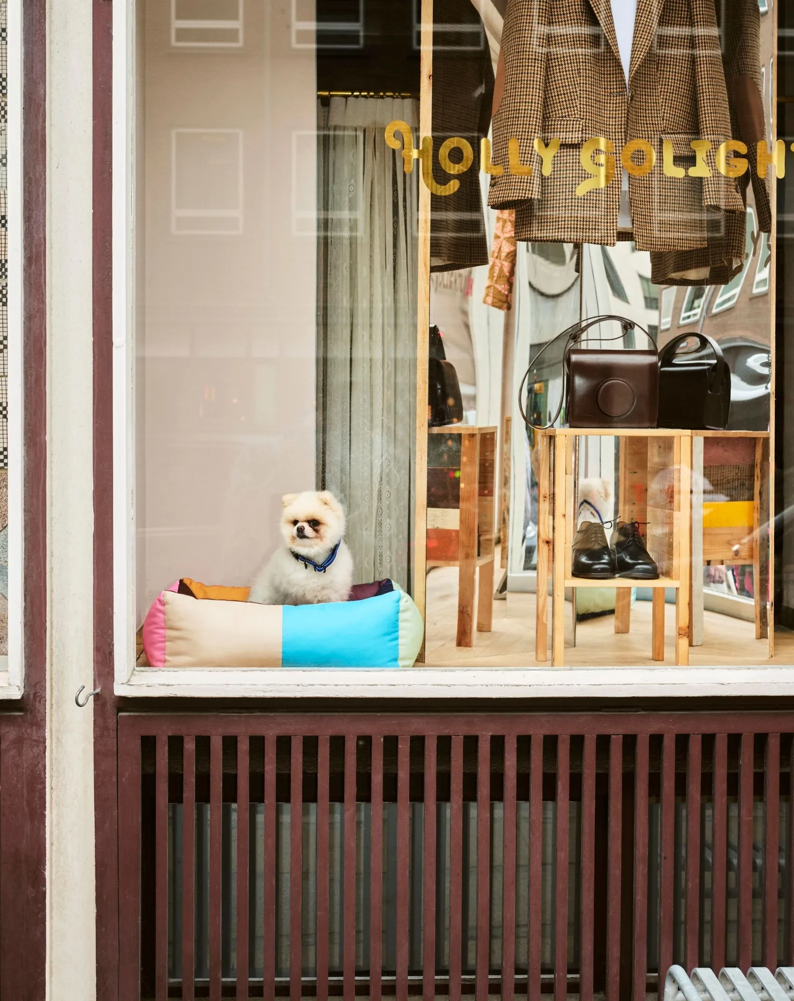 Panier pour chien - Image 4