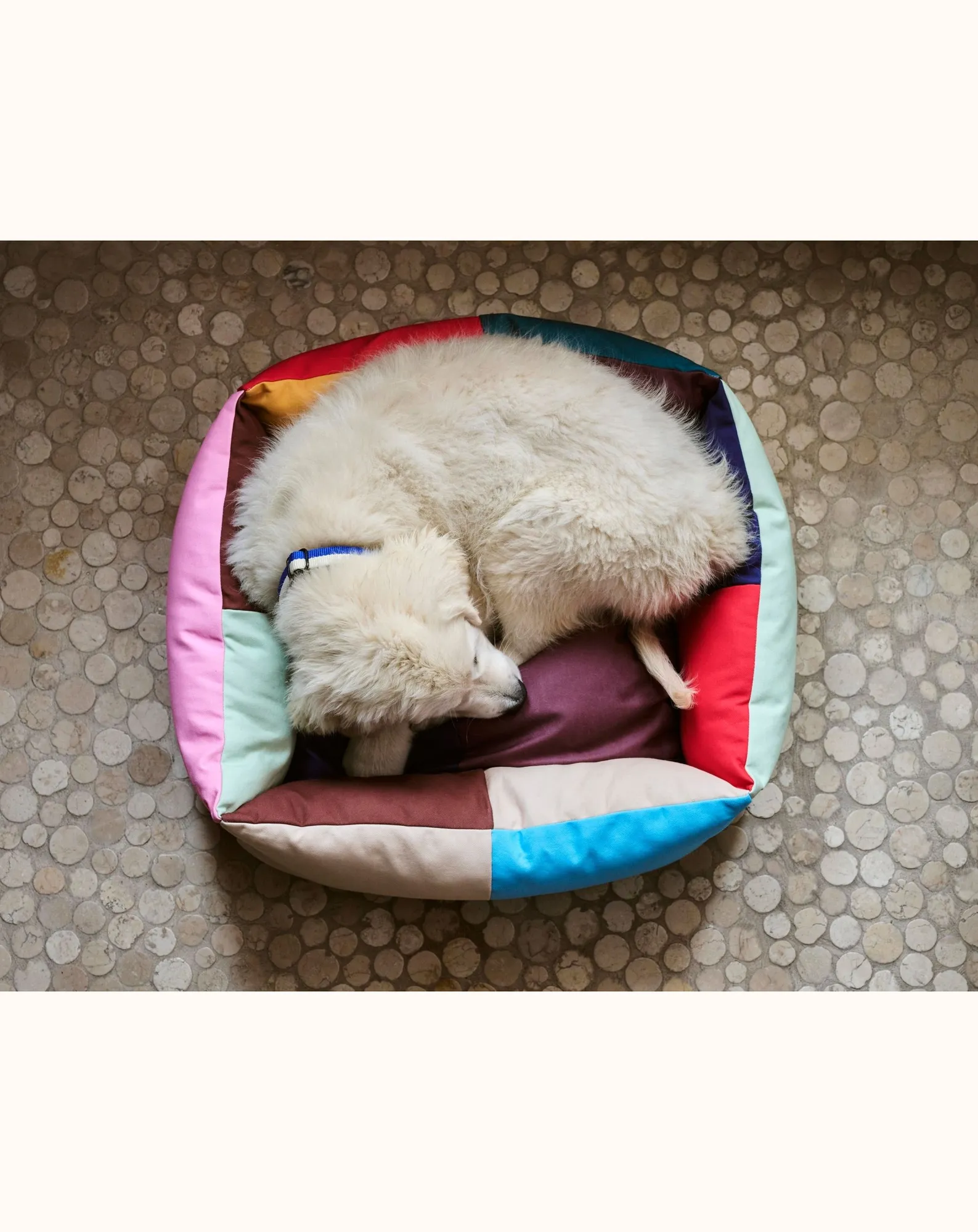 Panier pour chien - Image 7